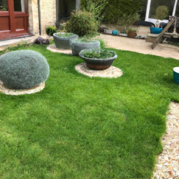 Techniques de taille pour maintenir un jardin esthétique et en bonne santé Saint-Etienne-du-Rouvray